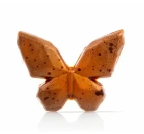 Geometric Butterfly<br>Dobla