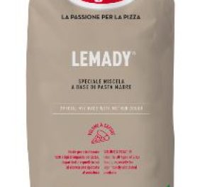 LEMADY (Pasta madre essiccata) KG 1X10