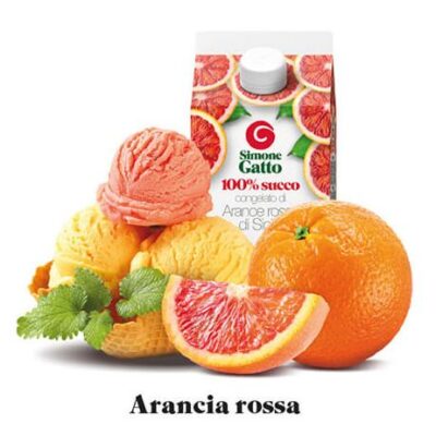 SUCCO ARANCIA ROSSA 24X500 S.GATTO