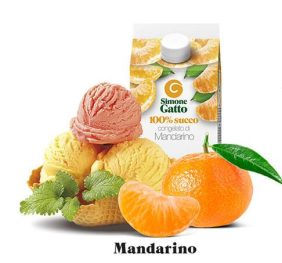 SUCCO MANDARINO 24X500 S.GATTO