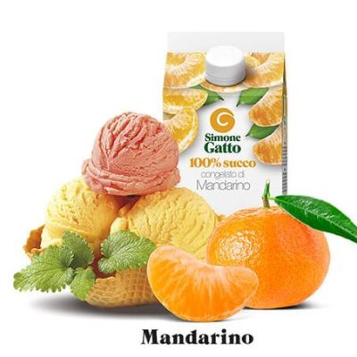 SUCCO MANDARINO 24X500 S.GATTO