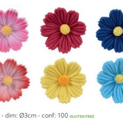 ASSORTIMENTO MINI COSMOS ZUCC. PZ.100 AMBRA’S