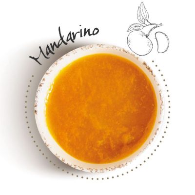 FRUTTA IN CREMA MANDARINO KG 3,5X2 CESARIN