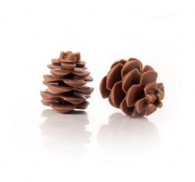 PINECONE PZ. 18