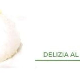 DELIZIA LIMONE 6X100G S.GLU/LAT (SGLDELI0100S06NN)