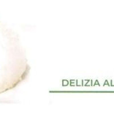 DELIZIA LIMONE 6X100G S.GLU/LAT (SGLDELI0100S06NN)