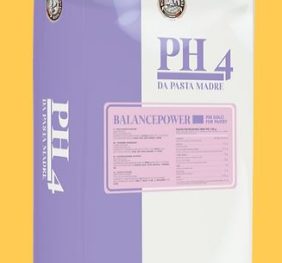 LIEVITO MADRE INATTIVO PH4 BALANCEPOWER KG 5,5