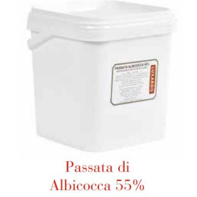 PASSATA DI ALBICOCCA 55% KG. 7,1