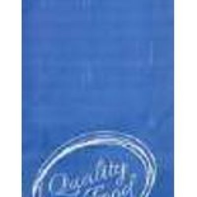 BUSTA PORTA POSATE BLU + TOVAG.33X33 PZ. 500