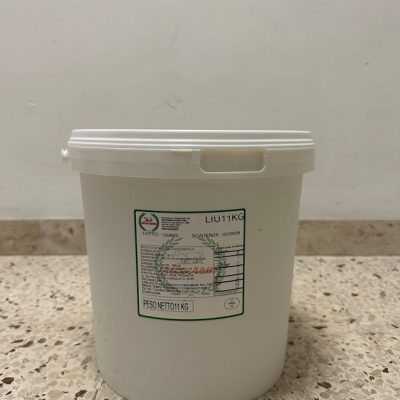 CREMA DI RICOTTA ZUCCHERATA 300 KG 11 RICOCREM
