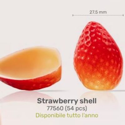 STRAWBERRY SHELL PZ. 54