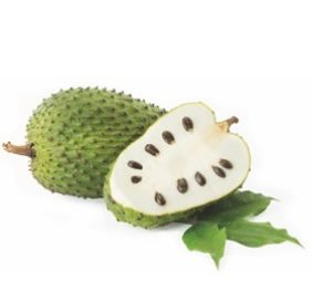 POLPA GRAVIOLA 6X1KG FRUTEIRO